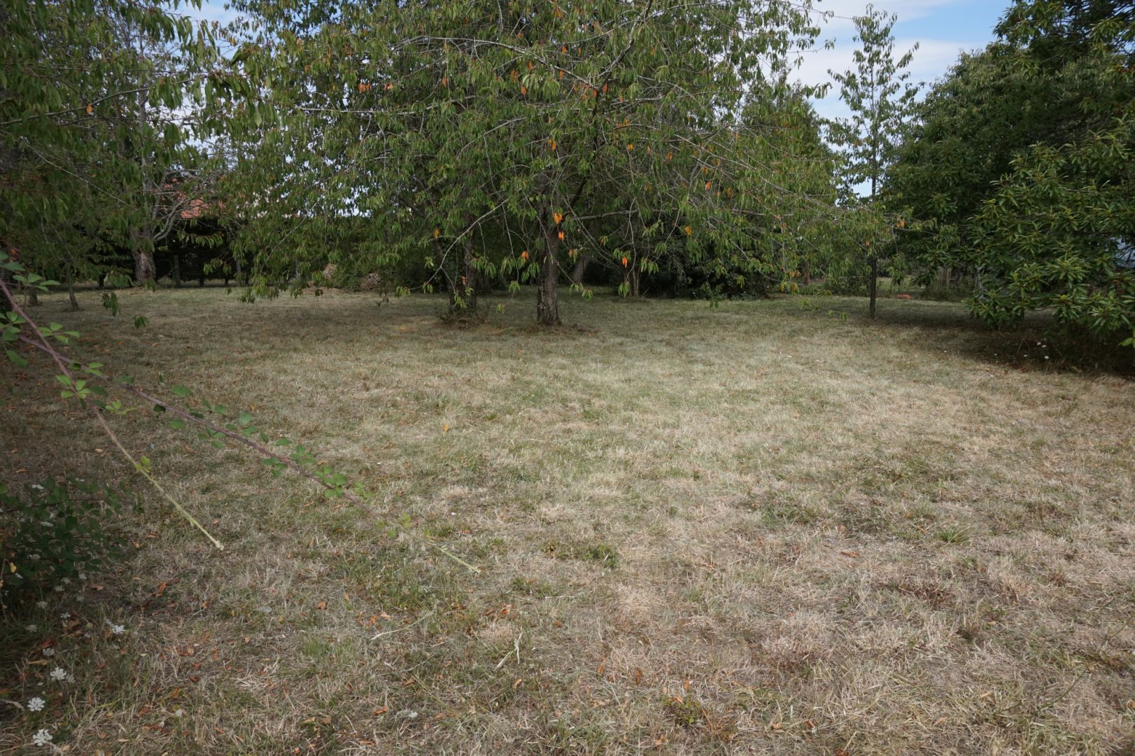 terrain constructible de 800 m2