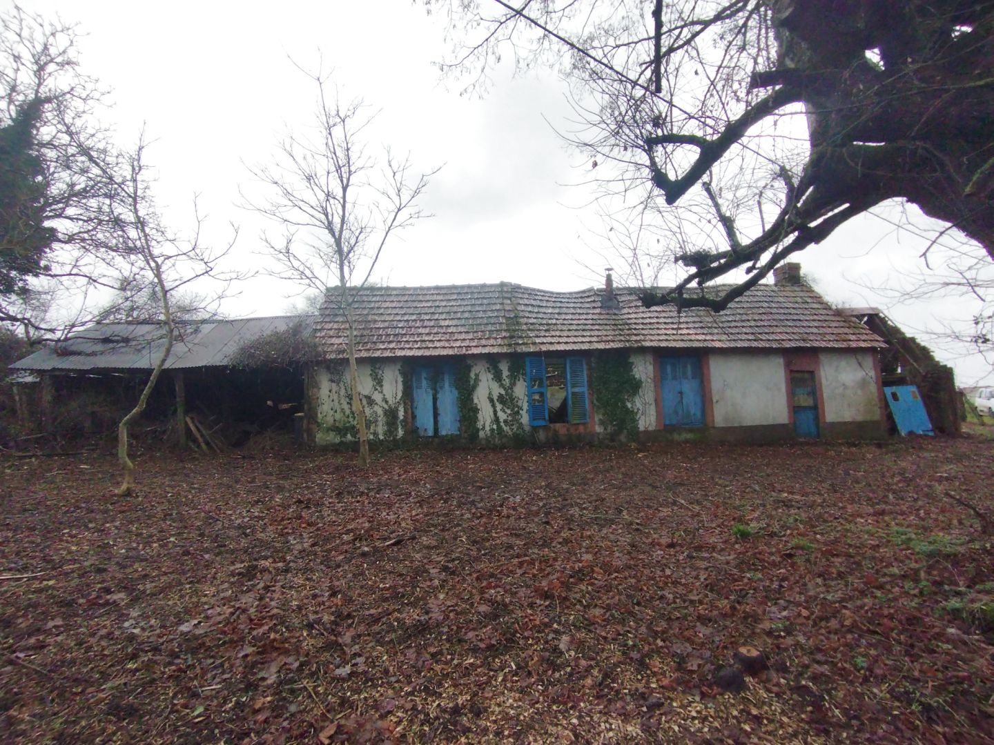 A 15 min de CHATEAUDUN, sur plus d'1hectare