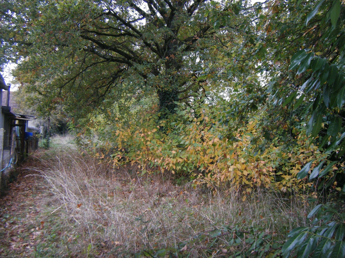 ENTRE CLOYES ET CHATEAUDUN